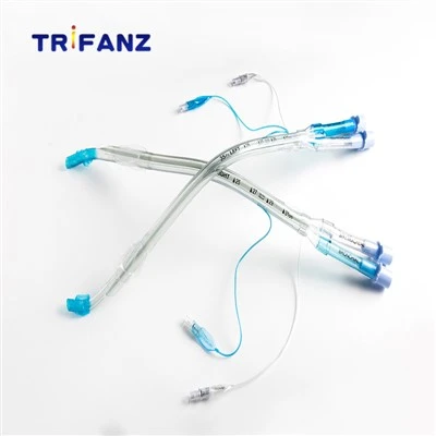 Bronchial Tube