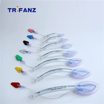 Classic Laryngeal Mask Airway