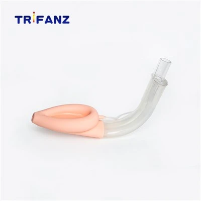 Flexible Laryngeal Mask Airway