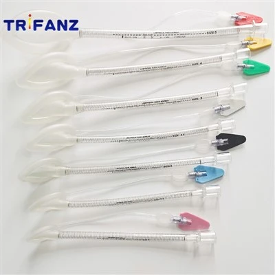 Laryngeal Mask Airway 1.0